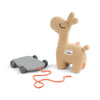 Pull Along Animal Pull Along Animal