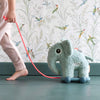 Pull Along Animal Pull Along Animal