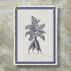 Grainsack Kitchen Towels - Botanic Grainsack Kitchen Towels - Botanic