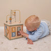 Little Farm Activity Cube Little Farm Activity Cube