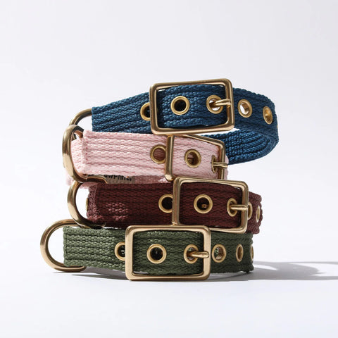 Paw Print Dog Collar