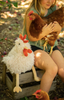 Roy the Rooster Roy the Rooster