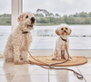 Maileg Perry dog Leash. Maileg Perry dog Leash.