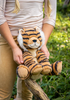 Tesh the Tiger Tesh the Tiger