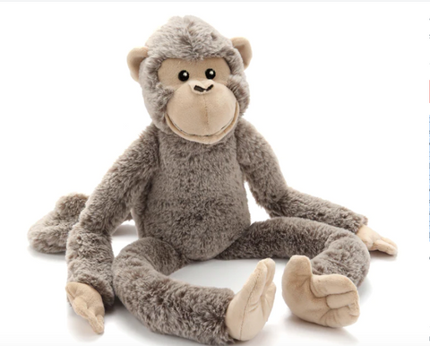 Mani the Monkey