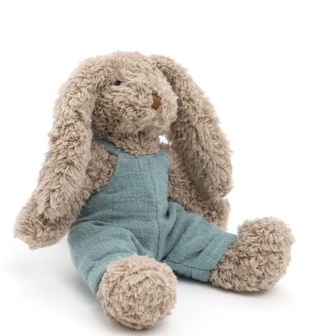 Mr Honey Bunny