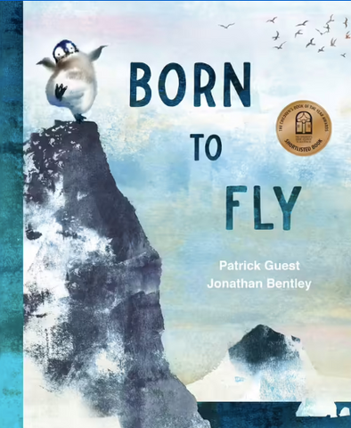 Books - Born to Fly.