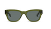 Caddis Reader - SUN. Caddis Reader - SUN.