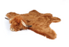 Wild & Soft Disguise - Highland Cow. Wild & Soft Disguise - Highland Cow.