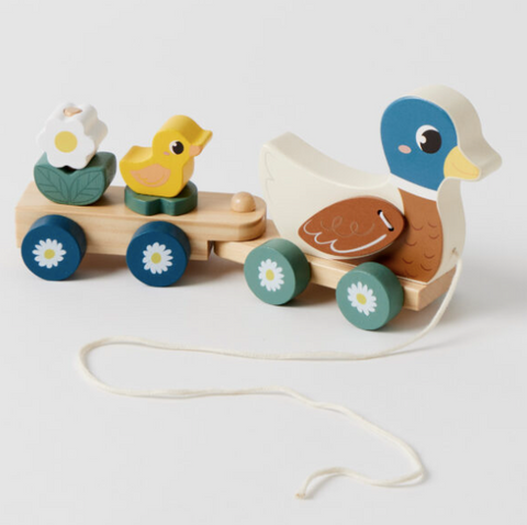 Duck Train Set.