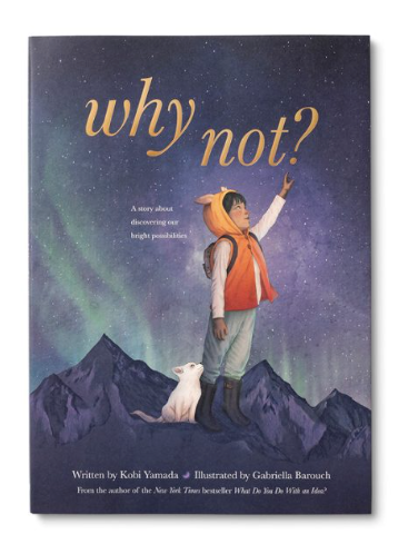 Book - Why Not?