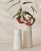 Banksia Vase Banksia Vase