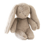 Darcey Plush Bunny. Darcey Plush Bunny.