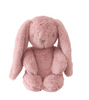 Darcey Plush Bunny. Darcey Plush Bunny.