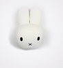 Wild & Soft Animal Heads. Wild & Soft Animal Heads.