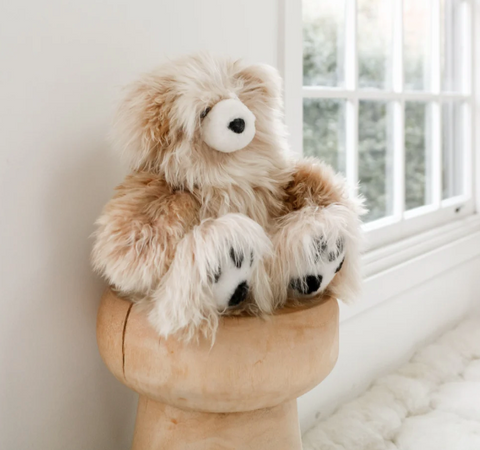 La Sierra Suri Bear.