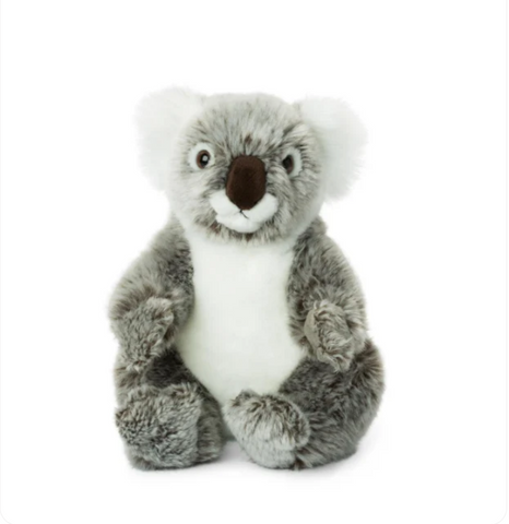 WWF ECO Koala