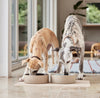 Sia Dog Bowl - Large Sia Dog Bowl - Large