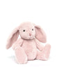 Pixie the Bunny Pixie the Bunny