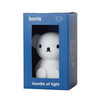 Bundle of Light - Boris Bundle of Light - Boris