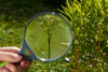 HABA Terra Kids Magnifying Glass HABA Terra Kids Magnifying Glass