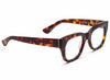 Caddis Reader - Miklos Turtle Caddis Reader - Miklos Turtle