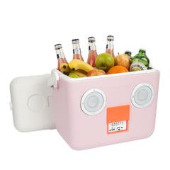 Sunnylife Cooler Box Sounds - Powder Pink