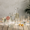French Bee champagne Clear- Set of 6. French Bee champagne Clear- Set of 6.