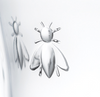 French Bee Wine glass -Clear- Set of 6 French Bee Wine glass -Clear- Set of 6
