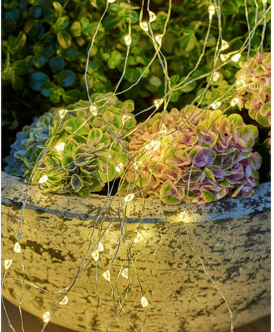 Sirius Christmas Lights - Maggie Multi String Lights.