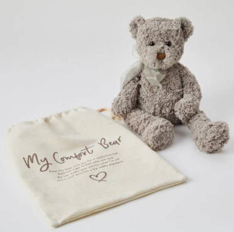 Darcy the Comfort Teddy Bear