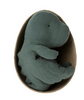 Maileg Small Gantosaurus in Egg. Maileg Small Gantosaurus in Egg.