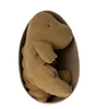 Maileg Medium Gantosaurus in Egg. Maileg Medium Gantosaurus in Egg.