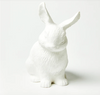 Bunny Money Box Bunny Money Box