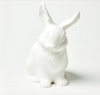 Bunny Money Box