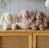 Medium Plush Bunny. Medium Plush Bunny.