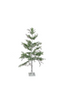 Pine Light up Tree. Pine Light up Tree.