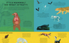 Book -There are Mammals Everywhere. Book -There are Mammals Everywhere.