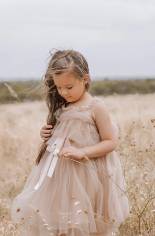 Fairy Floss tulle Dress