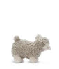 Lucy Lamb Lucy Lamb