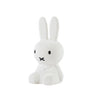 First Night Light - Miffy First Night Light - Miffy