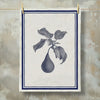 Grainsack Kitchen Towels - Botanic