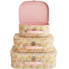Carry case suitcases set of three
