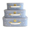 Carry case suitcases set of three