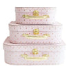 Carry case suitcases set of three