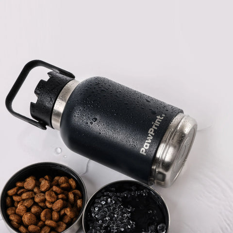 Paw Print Dog Hydration Station