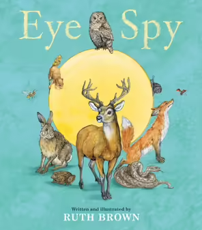 Book - Eye Spy