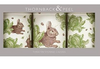 Rabbit & Cabbage Easter Biscuit/ Cake Tins.