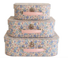 Carry case suitcases set of three