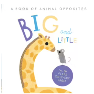 Book -Big & Little - A Book Of Opposites.